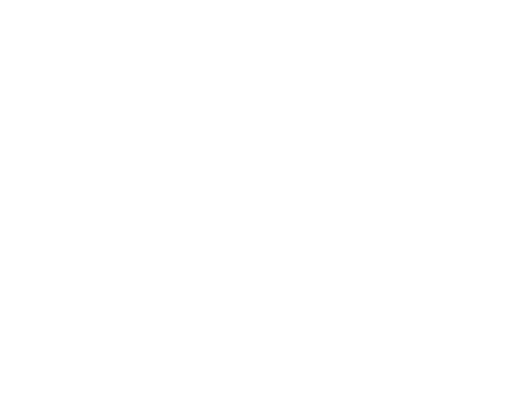 missisauga1
