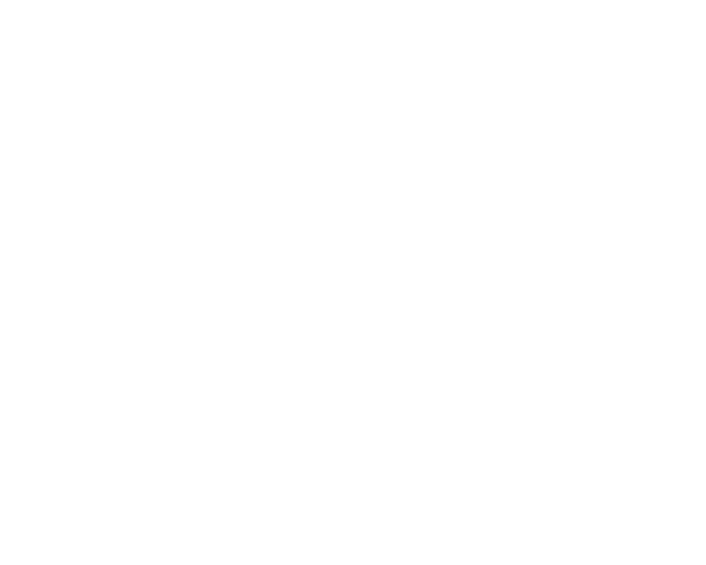 nandos1